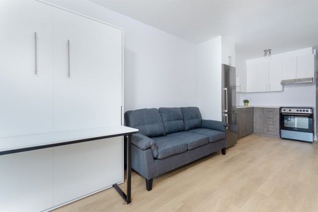  1 1/2 Hochelaga-Maisonneuve 45 $/jour. Appartement à louer Hochelaga-Maisonneuve