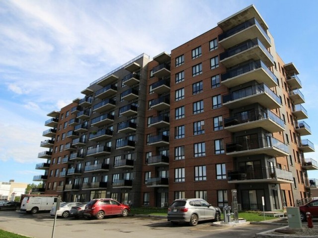 Appartement 3 1/2 Pointe-Claire 1 450 $/mois. Appartement à louer Pointe-Claire