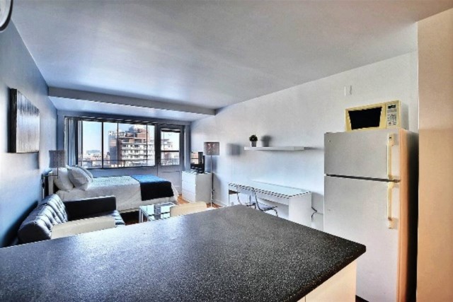  2 1/2 Centre-ville - Montréal 47 $/jour. Appartement à louer Centre-ville - Montréal