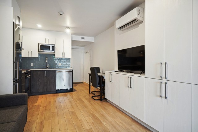 Hochelaga-Maisonneuve  1 b. $50/day. Apartment for rent in Hochelaga-Maisonneuve