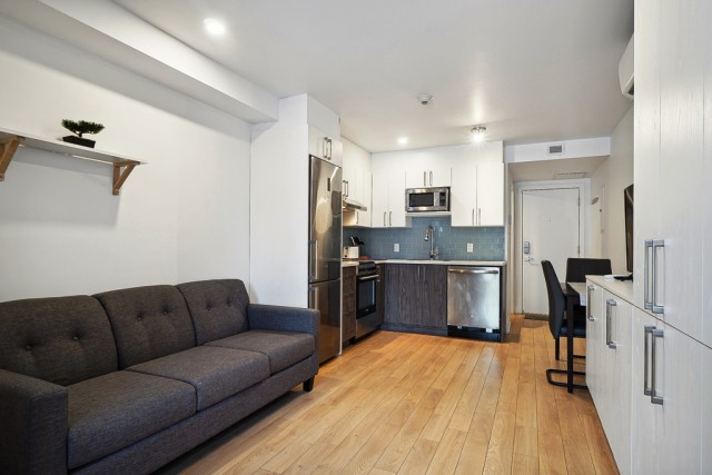 Hochelaga-Maisonneuve  1 b. $50/day. Apartment for rent in Hochelaga-Maisonneuve