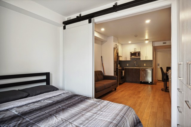 Hochelaga-Maisonneuve  1 b. $50/day. Apartment for rent in Hochelaga-Maisonneuve