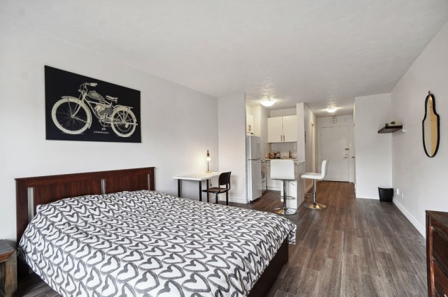  2 1/2 Plateau Mont-Royal 55 $/jour. Appartement à louer Plateau Mont-Royal