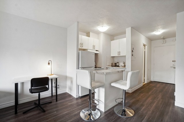  2 1/2 Plateau Mont-Royal 55 $/jour. Appartement à louer Plateau Mont-Royal