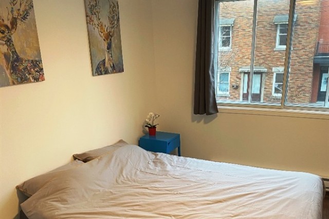  2 1/2 Plateau Mont-Royal 55 $/jour. Appartement à louer Plateau Mont-Royal