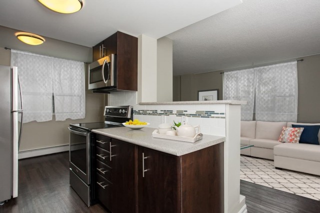 Appartement 1 1/2 Edmonton 1 155 $/mois. Appartement à louer Edmonton