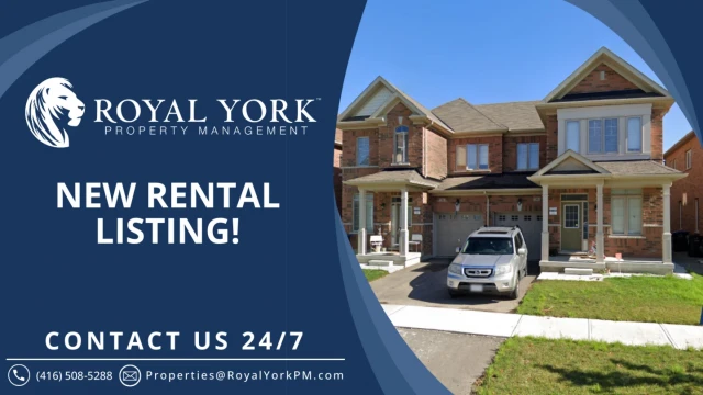 Brampton Apartment 1 b. $1,650/month. Apartment for rent in Brampton