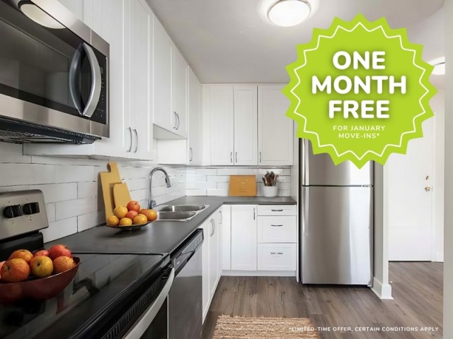 Vancouver Apartment 2 b. $1,799/month. Apartment for rent in Vancouver