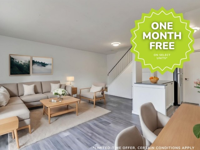 Brampton Apartment Studio $1,699/month. Apartment for rent in Brampton