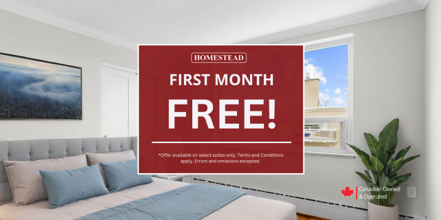 Hamilton Apartment 1 b. $1,695/month. Apartment for rent in Hamilton