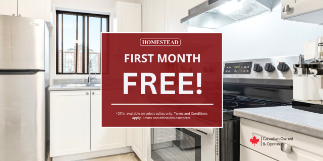 Kingston Apartment 1 b. $2,279/month. Apartment for rent in Kingston