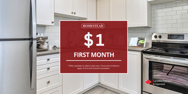 Kingston Apartment 2 b. $1,799/month. Apartment for rent in Kingston