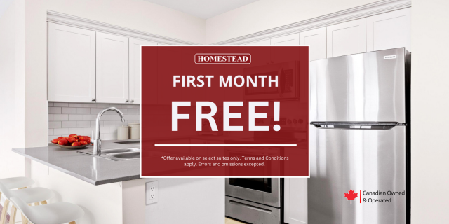 Kingston Apartment Studio $1,399/month. Apartment for rent in Kingston
