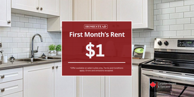 Kingston Apartment 2 b. $1,799/month. Apartment for rent in Kingston