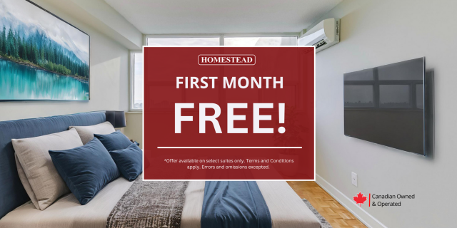 London Apartment 1 b. $1,499/month. Apartment for rent in London
