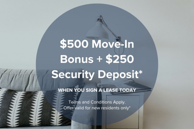 Edmonton Apartment Studio $1,150/month. Apartment for rent in Edmonton