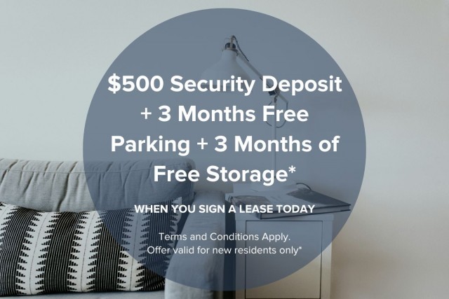 Vancouver Apartment Studio $1,725/month. Apartment for rent in Vancouver