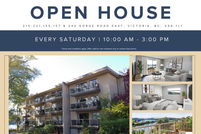 Victoria Apartment Studio $1,510/month. Apartment for rent in Victoria