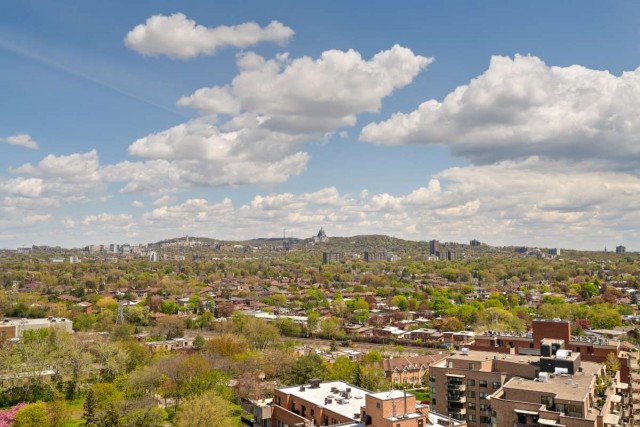 Cote-Saint-Luc Apartment 1 b. $1,530/month. Apartment for rent in Cote-Saint-Luc