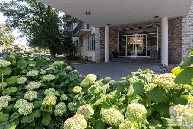 Notre-Dame-de-Grace Apartment Studio $1,115/month. Apartment for rent in Notre-Dame-de-Grace