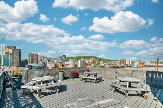 Quartier latin and south-central Apartment 1 b. $1,540/month. Apartment for rent in Quartier latin and south-central