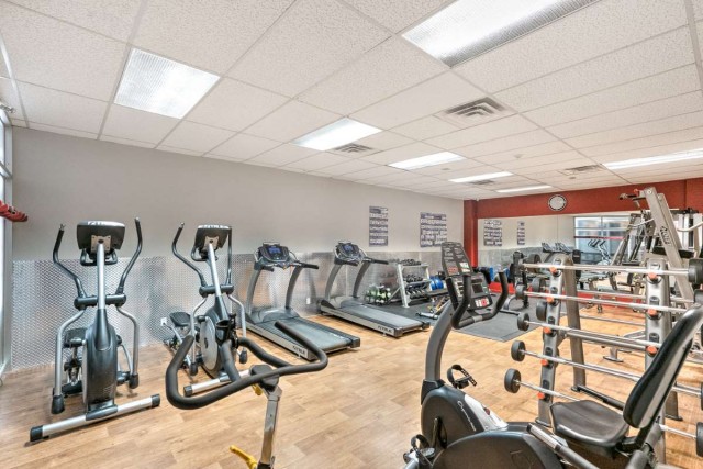 Plateau Mont-Royal Apartment Studio $1,205/month. Apartment for rent in Plateau Mont-Royal