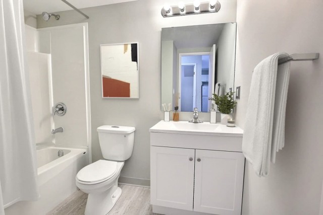 Regina Apartment 1 b. $1,355/month. Apartment for rent in Regina