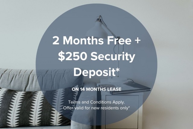 Kelowna Apartment 1 b. $1,595/month. Apartment for rent in Kelowna