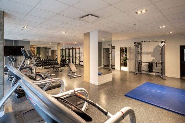 Quartier latin and south-central Apartment Studio $1,450/month. Apartment for rent in Quartier latin and south-central