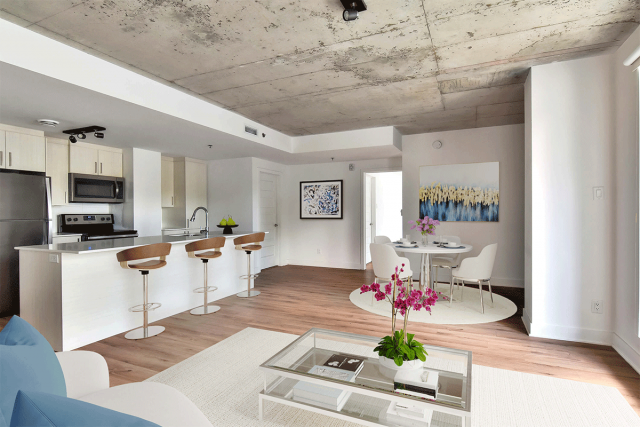Quartier latin and south-central Apartment Studio $1,465/month. Apartment for rent in Quartier latin and south-central