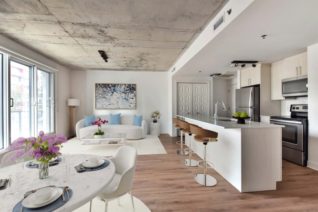 Quartier latin and south-central Apartment Studio $1,465/month. Apartment for rent in Quartier latin and south-central