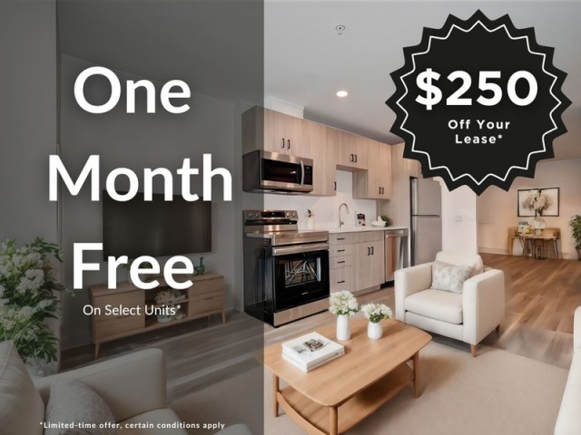 Waterloo Apartment 1-2 b. $1,999/month. Apartment for rent in Waterloo