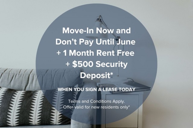 Appartement 3 1/2 Vancouver 2 195 $/mois. Appartement à louer Vancouver