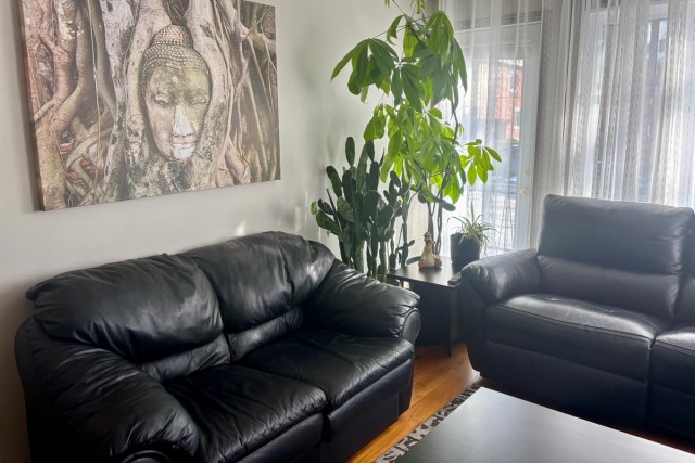 Mercier and Nouveau-Rosemont  2 b. $90/day. Apartment for rent in Mercier and Nouveau-Rosemont