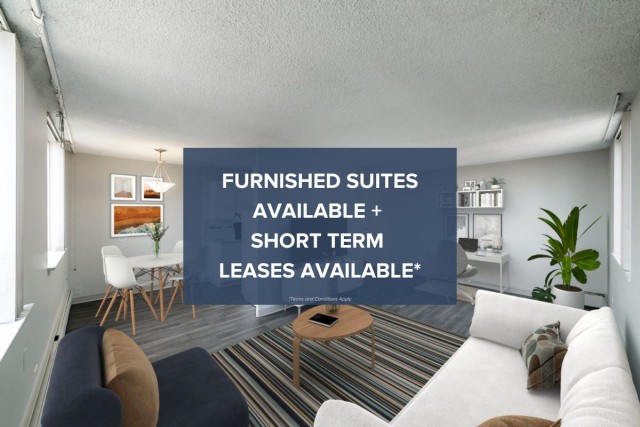 Appartement 1 1/2 Edmonton 1 175 $/mois. Appartement à louer Edmonton
