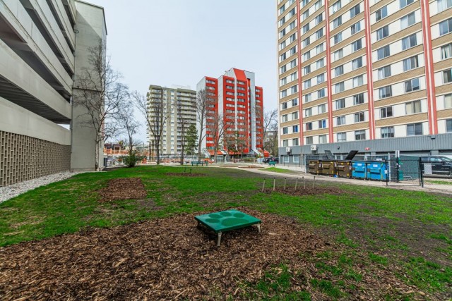 Appartement 1 1/2 Edmonton 1 175 $/mois. Appartement à louer Edmonton