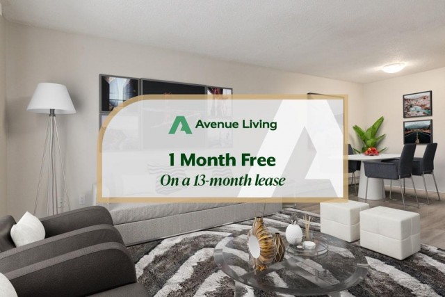 Medecine Hat Apartment 2 b. $1,395/month. Apartment for rent in Medecine Hat