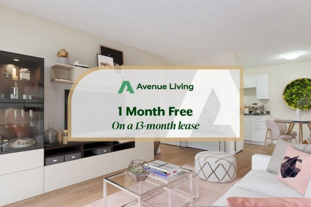 Medecine Hat Apartment 2 b. $1,335/month. Apartment for rent in Medecine Hat