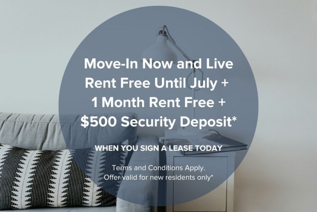 Vancouver Apartment 2 b. $2,495/month. Apartment for rent in Vancouver
