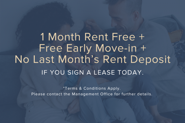 Ottawa Apartment 2 b. $2,395/month. Apartment for rent in Ottawa