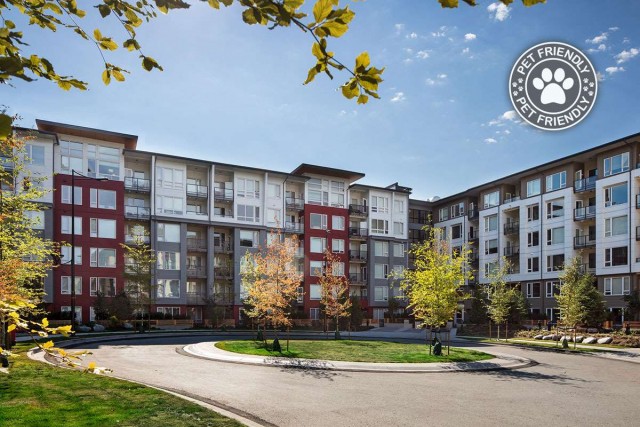 Appartement 4 1/2 Vancouver 2 825 $/mois. Appartement à louer Vancouver