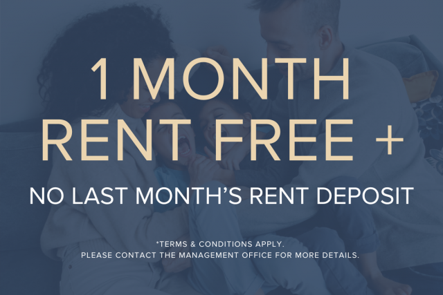 Greater Toronto Area Apartment Studio $1,750/month. Apartment for rent in Greater Toronto Area