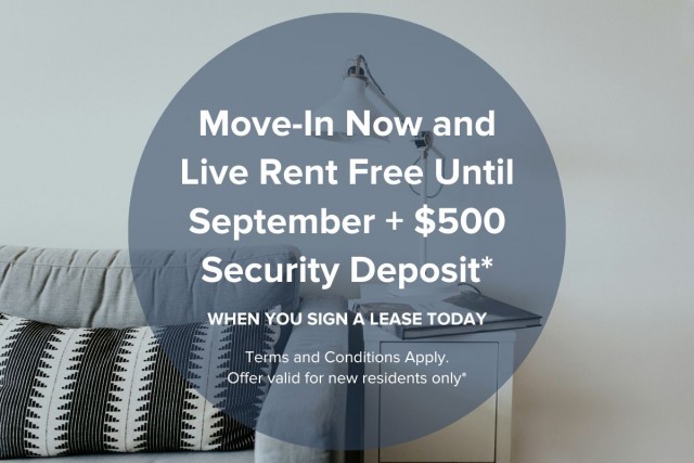 Vancouver Apartment 1-2 b. $2,995/month. Apartment for rent in Vancouver