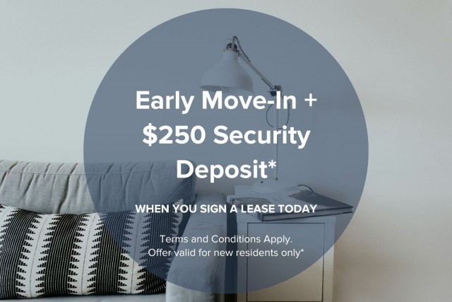 Calgary Apartment 1 b. $1,495/month. Apartment for rent in Calgary