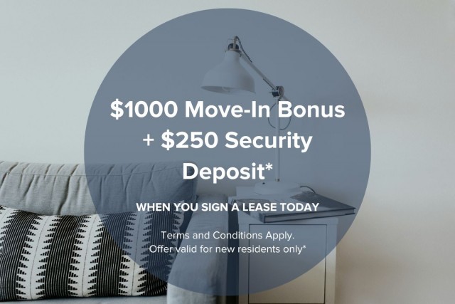 Calgary Apartment 1 b. $1,470/month. Apartment for rent in Calgary