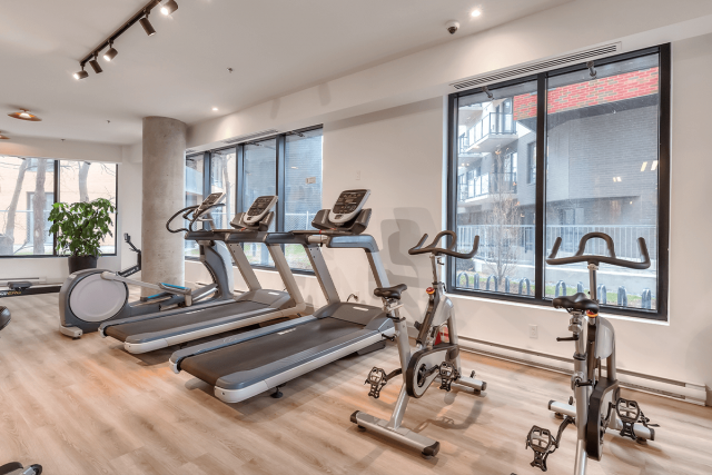 Appartement 1 1/2 Côte-des-Neiges 1 560 $/mois. Appartement à louer Côte-des-Neiges