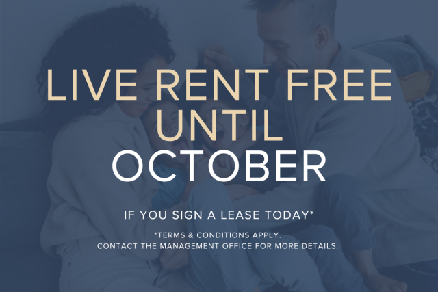 London Apartment 1 b. $1,600/month. Apartment for rent in London