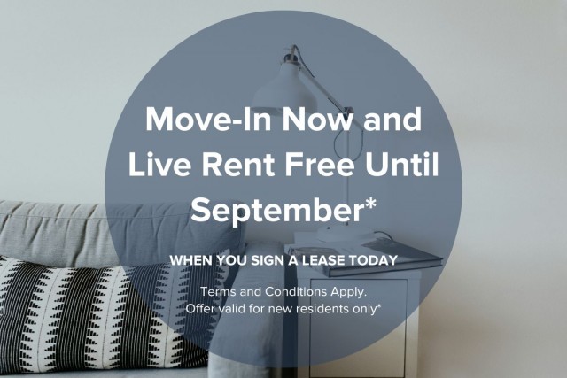 Vancouver Apartment 1 b. $2,295/month. Apartment for rent in Vancouver