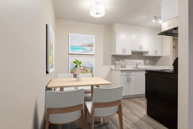 Appartement 2 1/2 Medecine Hat 1 300 $/mois. Appartement à louer Medecine Hat