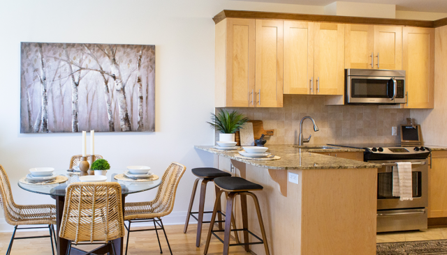 Appartement 1 1/2 Ottawa 2 025 $/mois. Appartement à louer Ottawa